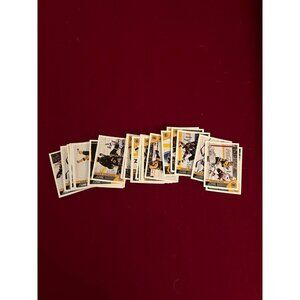 Boston Bruins 2013-14 team deck the score panini hockey cards